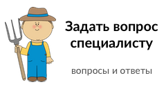 задать вопрос