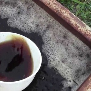 первая подкормка винограда органическими удобрениями
