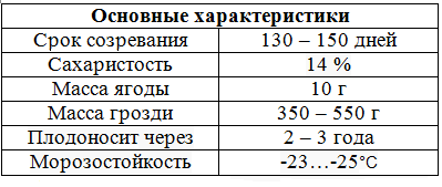 таблица