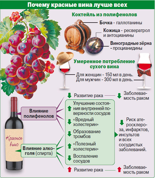 влияние красного вина