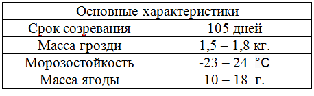 таблица виноград валек