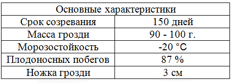 таблица виноград рислинг