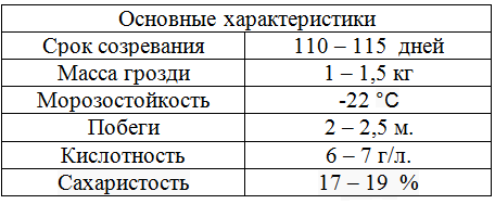 таблица виноград эльф