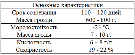 таблица винограда благовест
