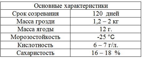 таблица виноград надежда
