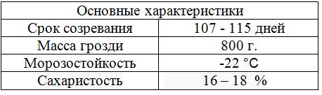 таблица виноград Наталья 